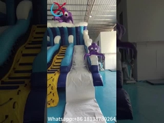 この新しい海タコのテーマの膨らませられる乾燥式ダブルスライドは 楽しくてユニークな遊び体験を 提供します